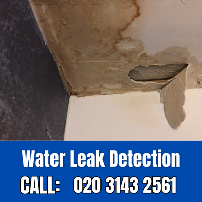 Expert Water Leak Detection Services in Stamford Hill | Stamford Hill Leak Detection